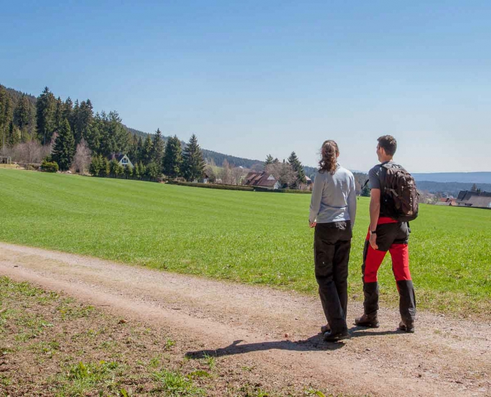 Wandern im Hochschwarzwald, Querformat Unverfälschte Natur, traumhafte Ausblicke bieten Ihnen die Wanderwege rund um die Saiger Lounge.